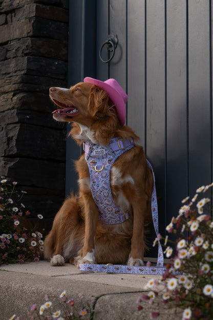 Western Wildflower - Adventure Addition