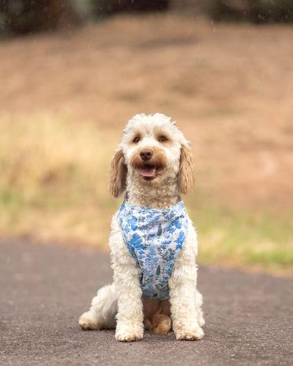 Whispering Willow - Cooling Vest