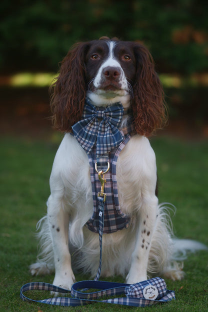 Frosted Flannel - Adventure Addition