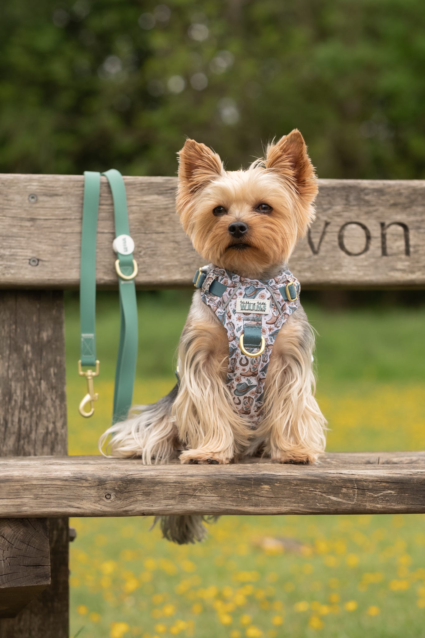 Teal Green - Waterproof Lead