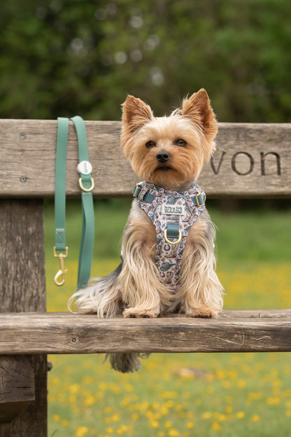 Teal Green - Waterproof Lead