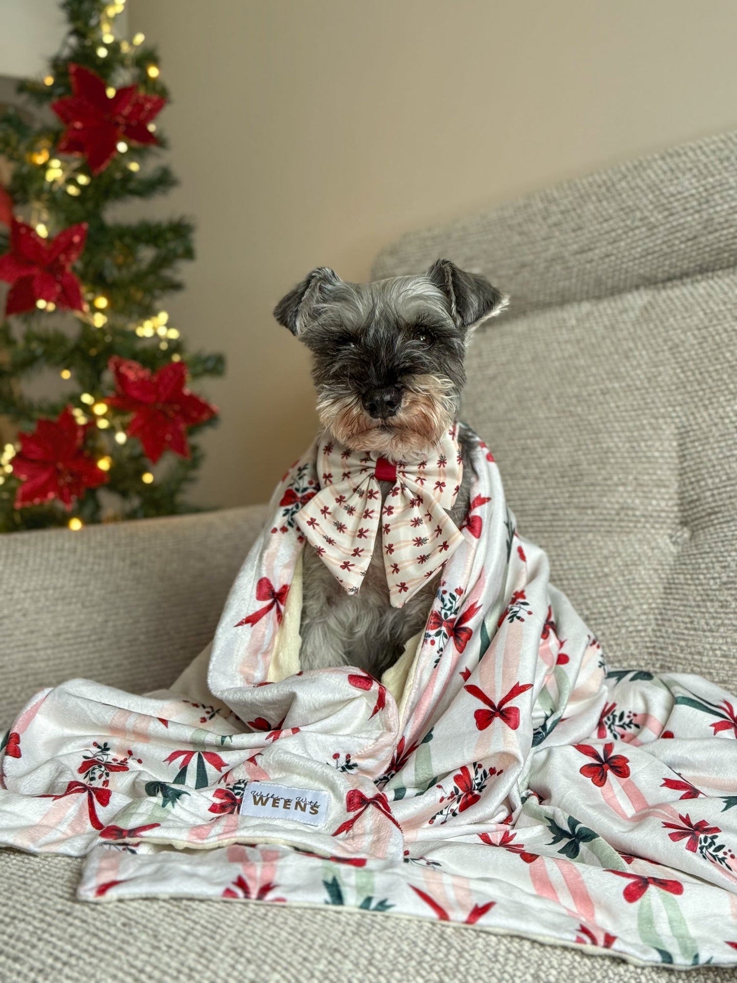 Classic Crimson - Snuggle Sized Blanket