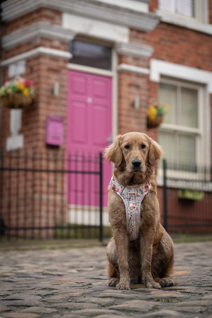 Berries and Bloom - Adventure Addition (See description)