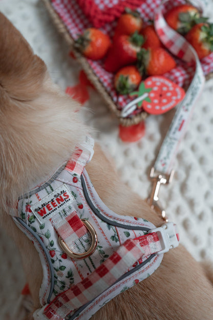 Berries and Bloom - Adventure Addition (See description)