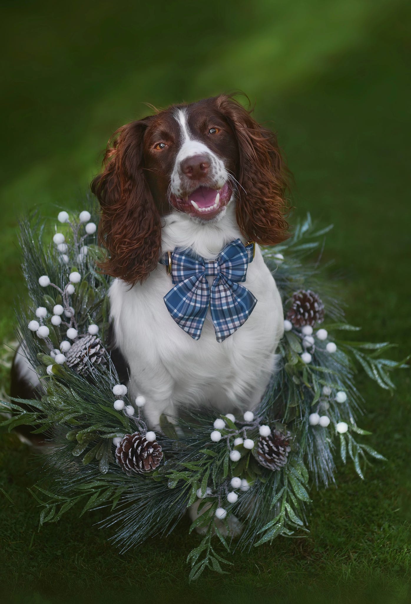 Frosted Flannel - Sailor Bow