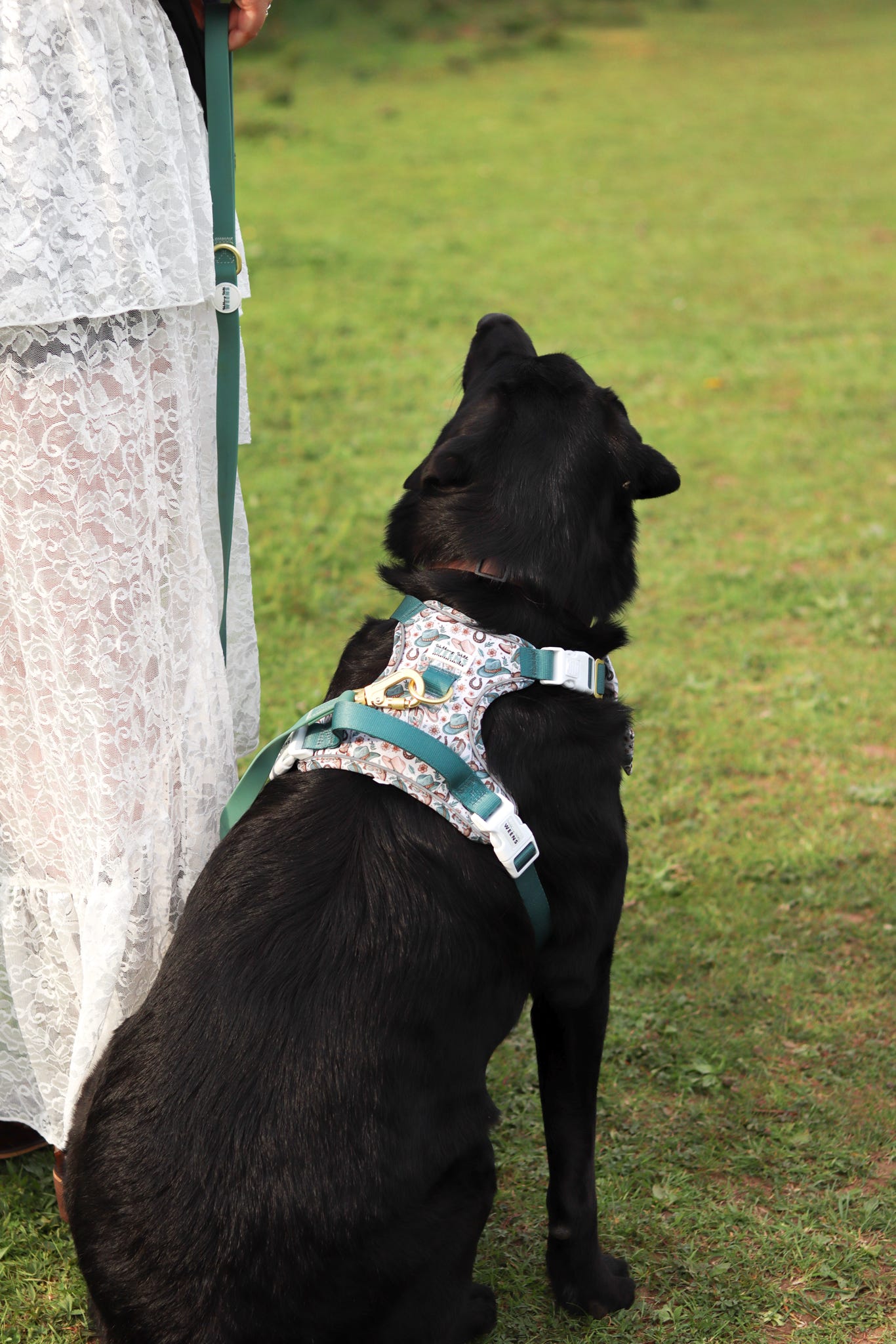 Teal Green - Waterproof Lead