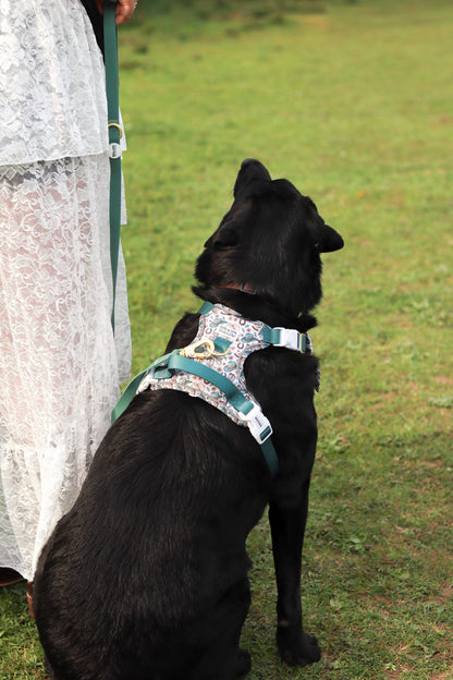 Teal Green - Waterproof Lead