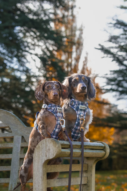 Espresso Brown - Waterproof Lead