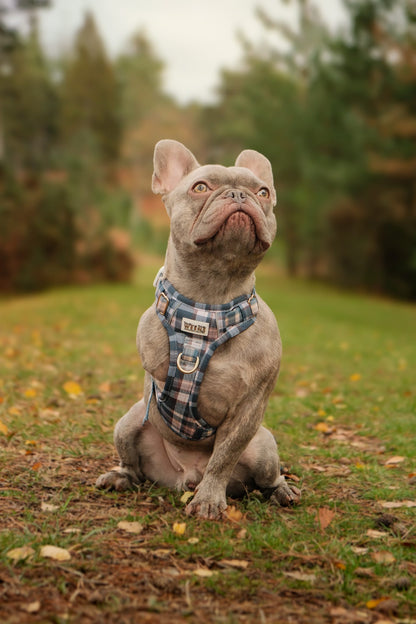 Frosted Flannel - Adventure Addition