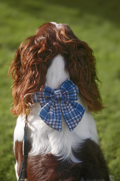 Frosted Flannel - Sailor Bow
