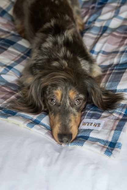 Frosted Flannel - Snuggle Sized Blanket