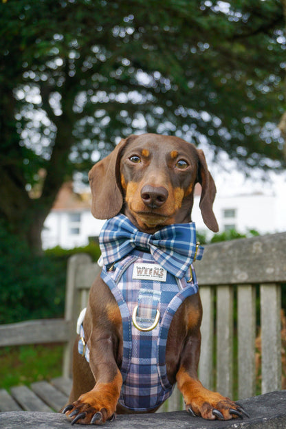 Frosted Flannel - Bow Tie