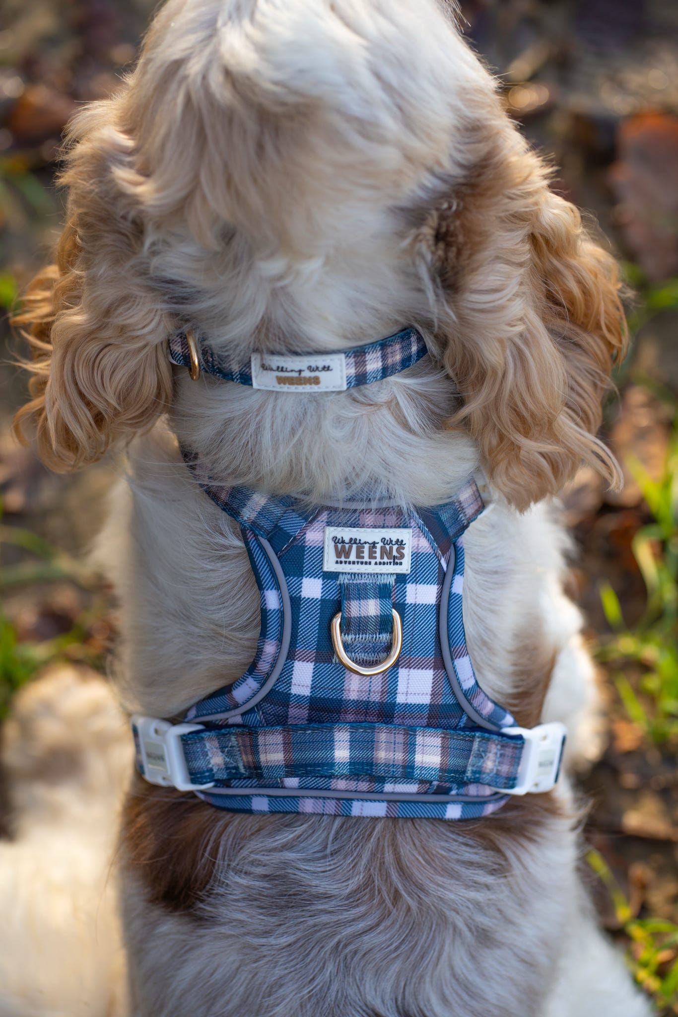 Frosted Flannel - Adventure Addition