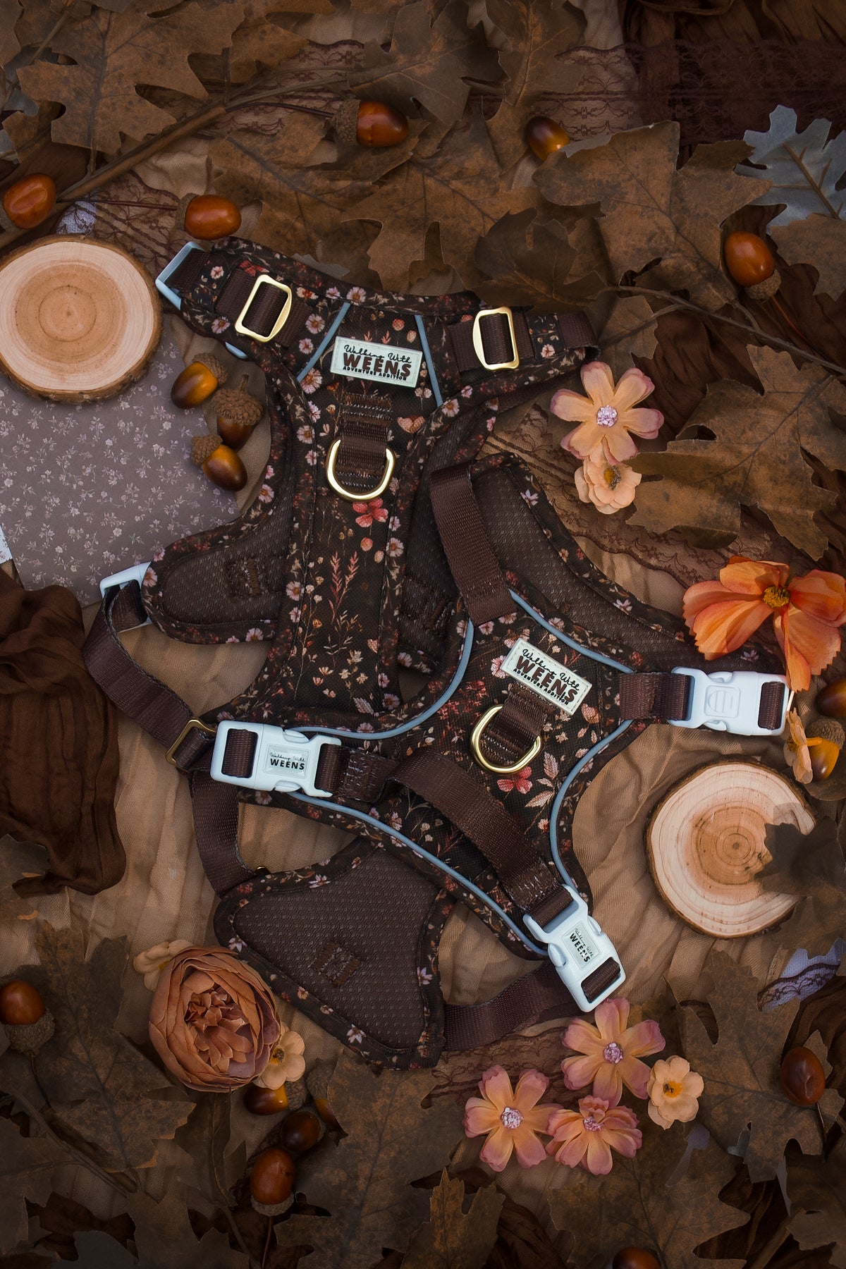 Walnut Woodlands - Adventure Addition