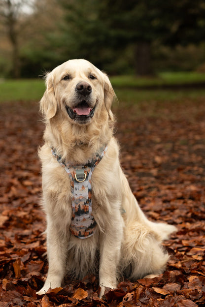 Pinewood Peaks - Adventure Addition