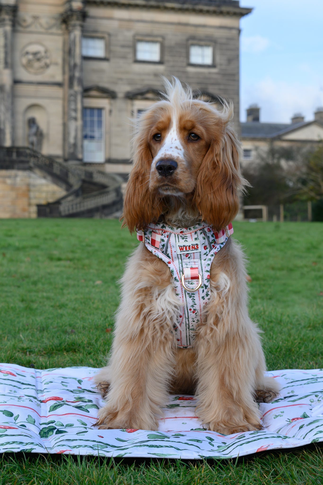 Berries and Bloom - Adventure Addition (See description)