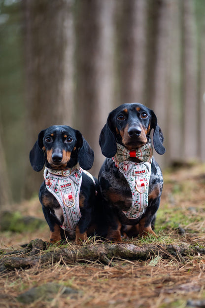 Berries and Bloom - Adventure Addition (See description)