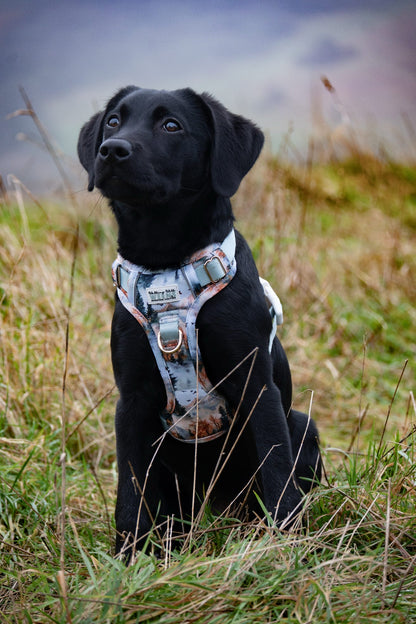 Pinewood Peaks - Adventure Addition