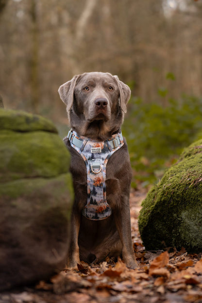 Pinewood Peaks - Adventure Addition