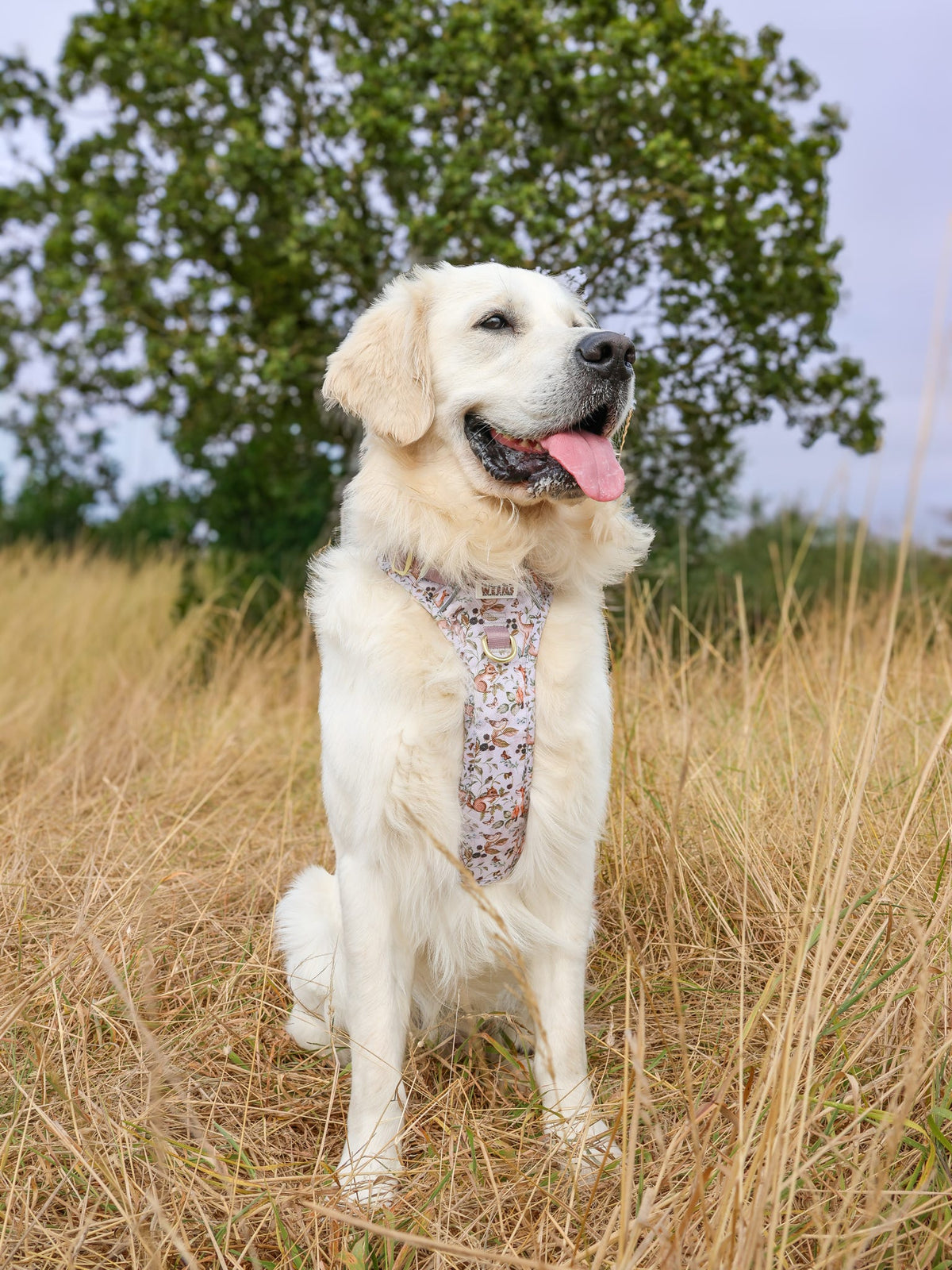 Bramble Burrows - Adventure Addition