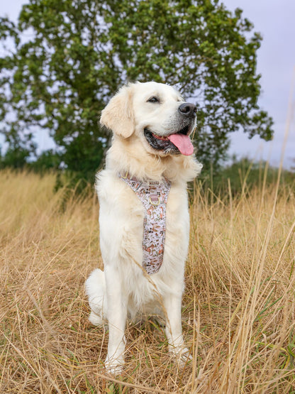 Bramble Burrows - Adventure Addition