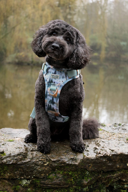 Pinewood Peaks - Adventure Addition