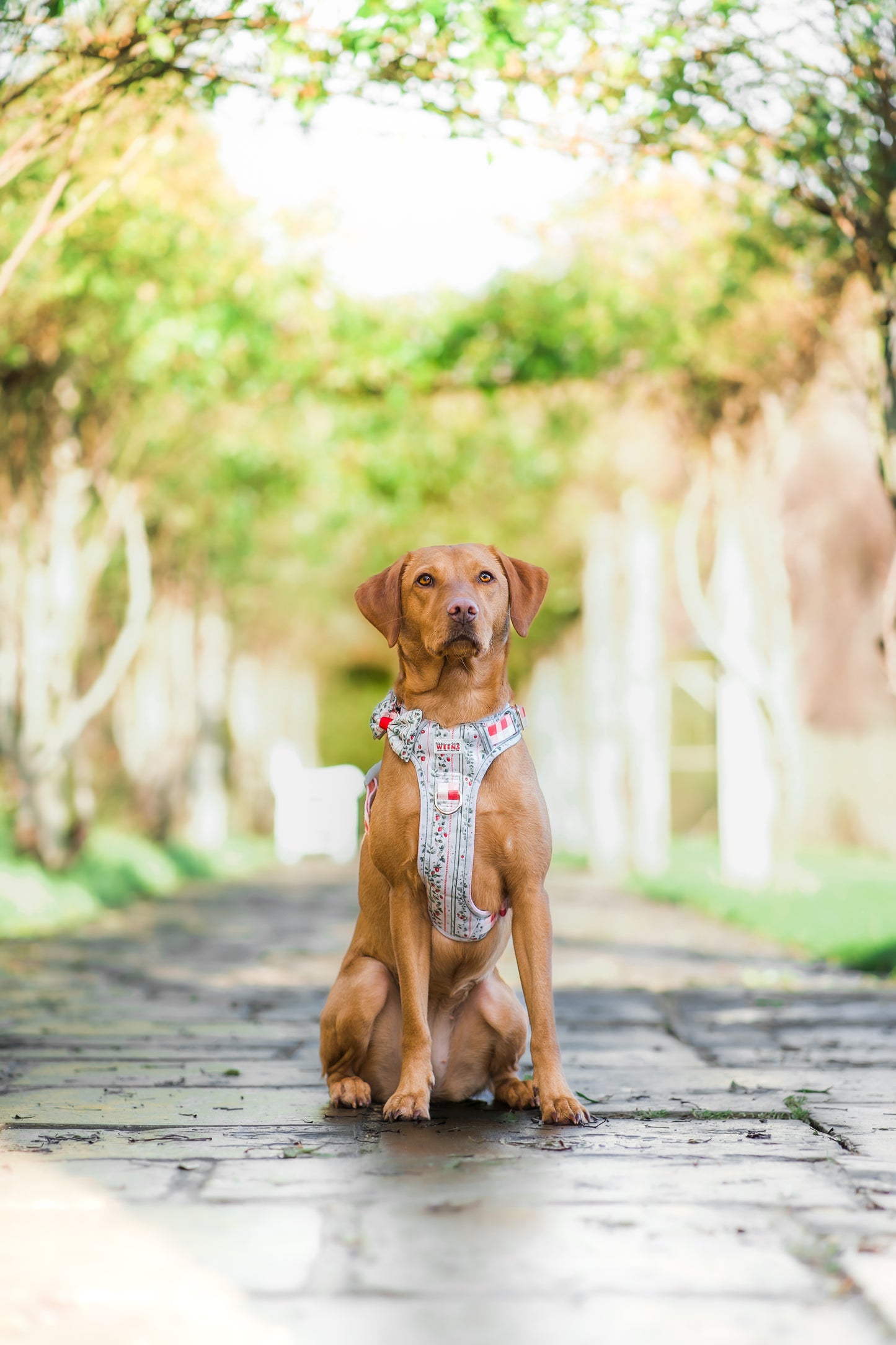 Berries and Bloom - Adventure Addition (See description)