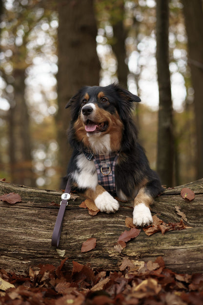 Frosted Flannel - Adventure Addition