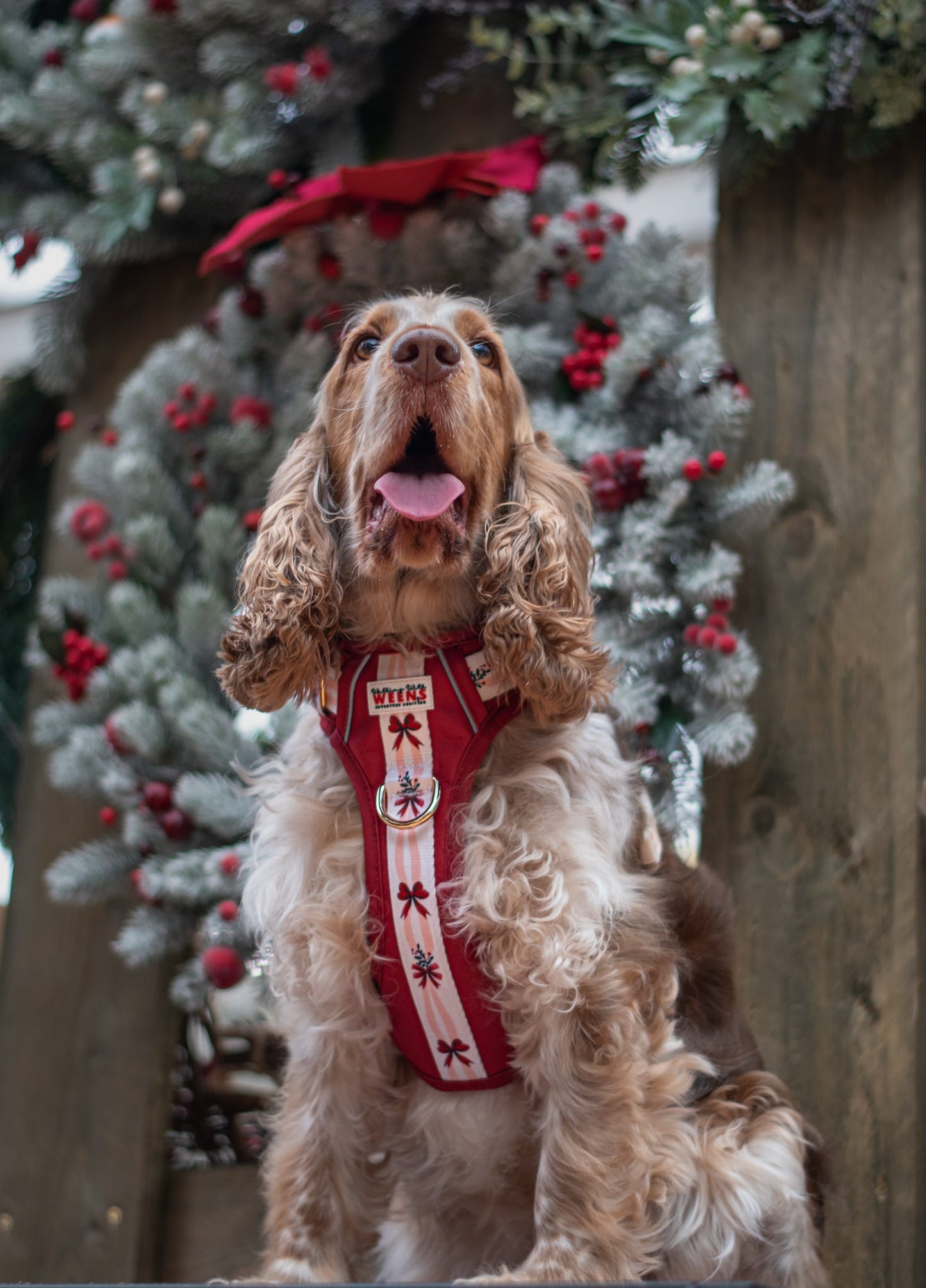 Classic Crimson - Adventure Addition