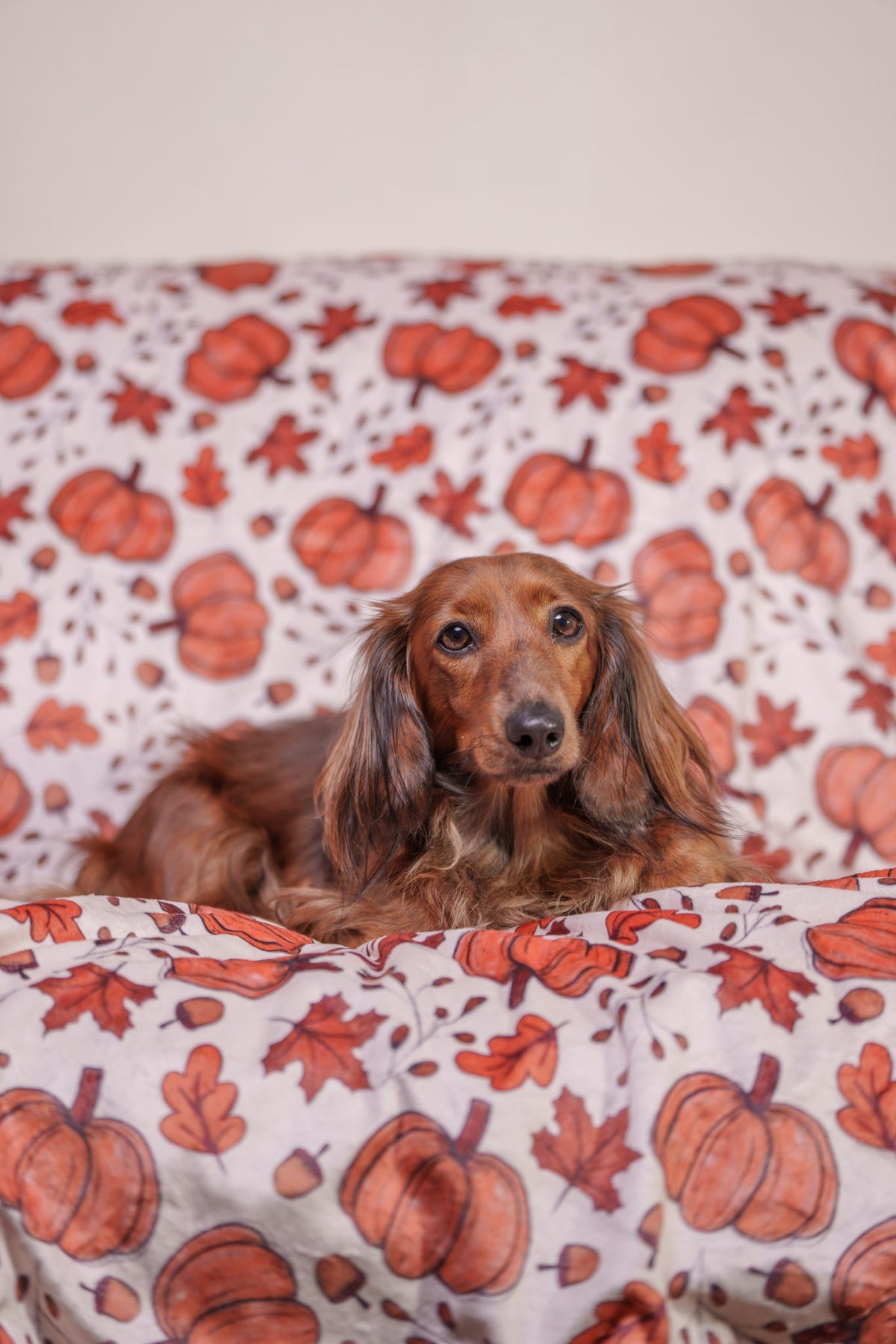 Autumn Nights - Snuggle Sized Blanket