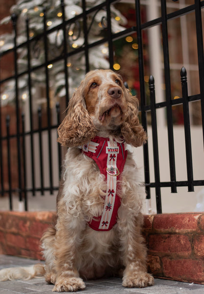 Classic Crimson - Adventure Addition