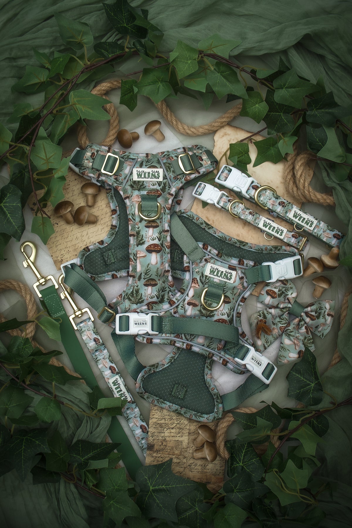 Fern Forest - Adventure Addition