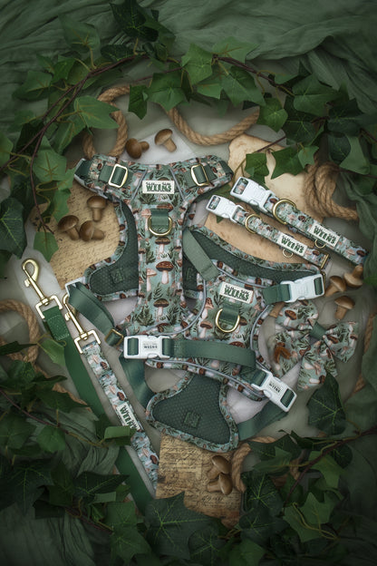 Fern Forest - Adventure Addition