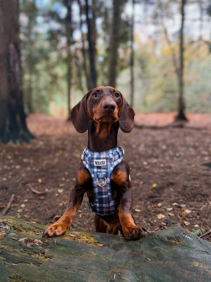 Frosted Flannel - Adventure Addition