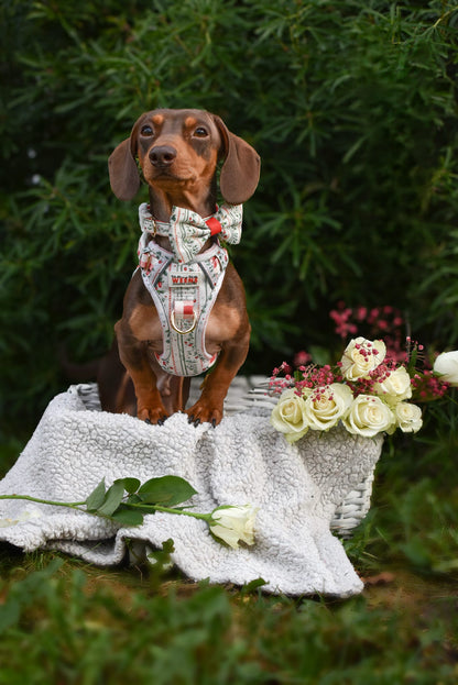 Berries and Bloom - Adventure Addition (See description)