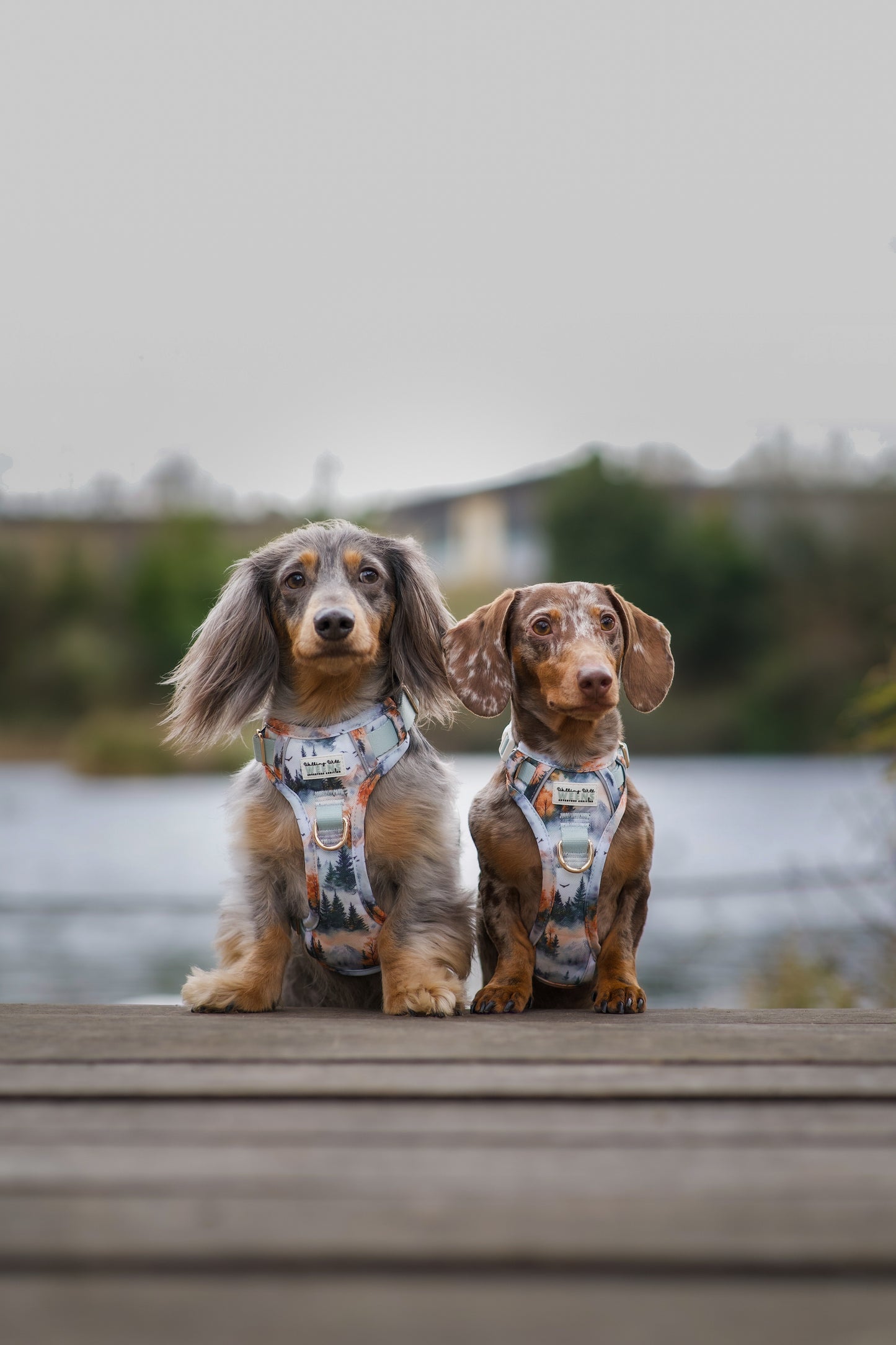 Pinewood Peaks - Adventure Addition