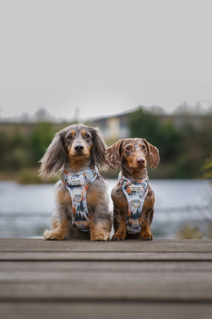 Pinewood Peaks - Adventure Addition