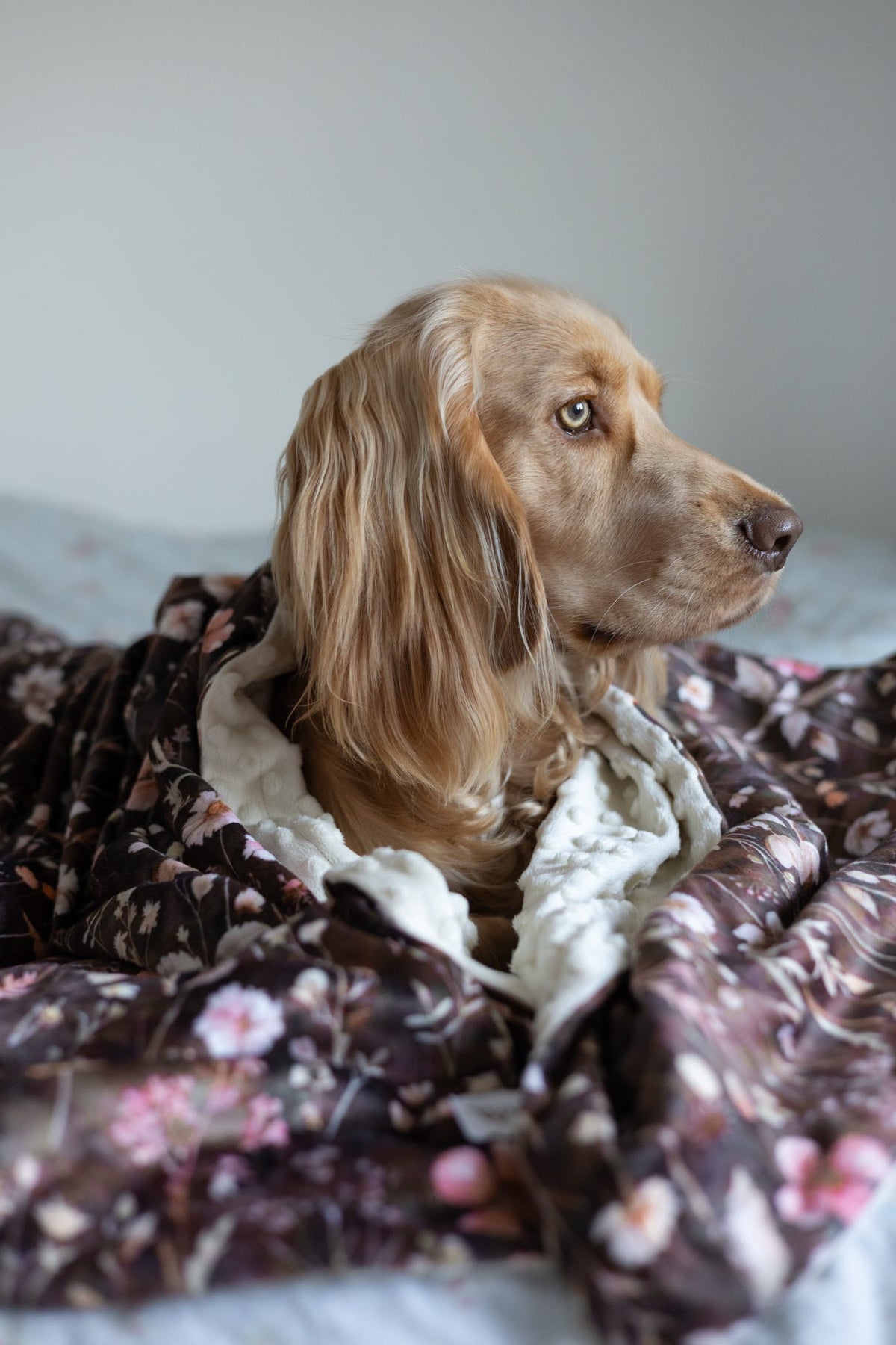 Walnut Woodlands - Snuggle Sized Blanket