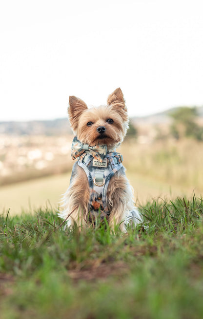Pinewood Peaks - Bow Tie