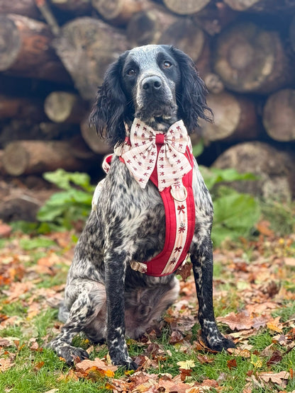 Classic Crimson - Adventure Addition