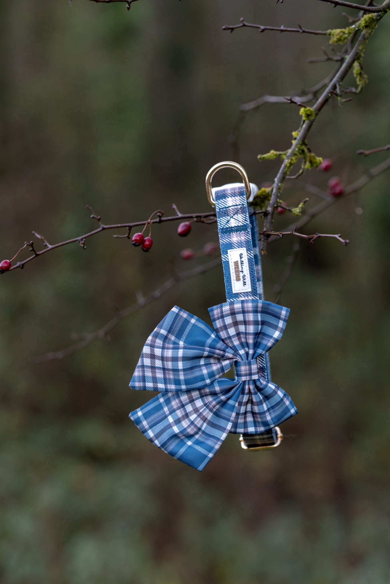 Frosted Flannel - Sailor Bow