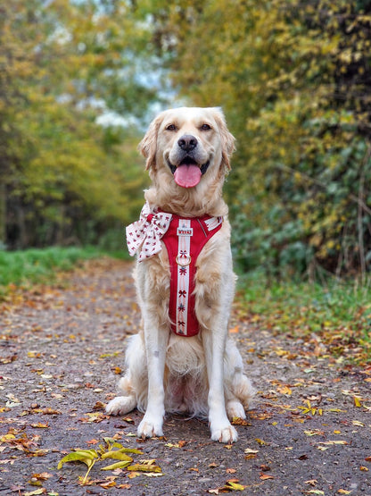 Classic Crimson - Adventure Addition