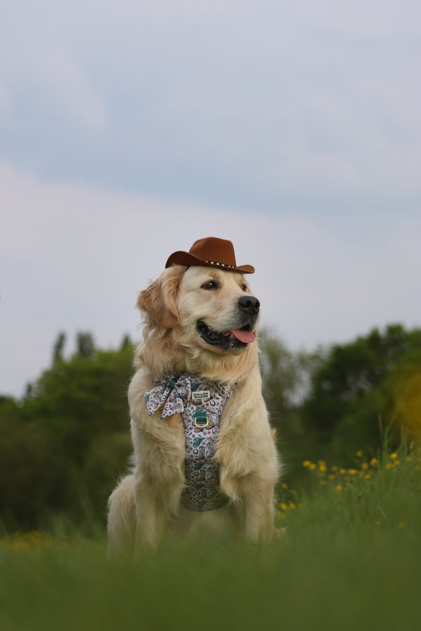 Cowboy Creek - Adventure Addition