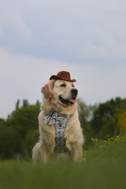 Cowboy Creek - Adventure Addition