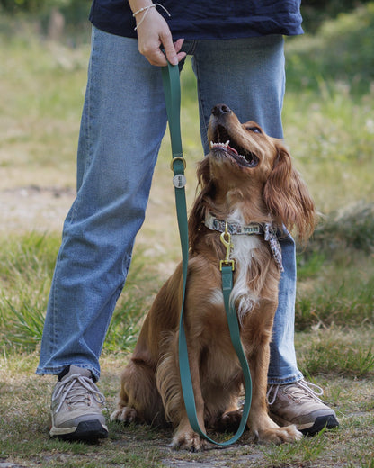Teal Green - Waterproof Lead