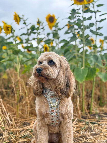 Golden Groves - Adventure Addition