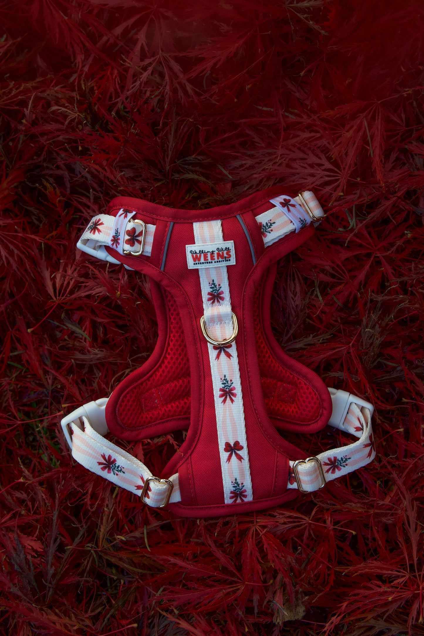 Classic Crimson - Adventure Addition