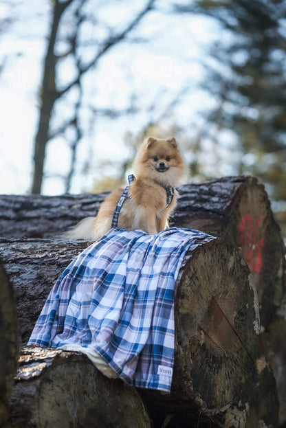 Frosted Flannel - Snuggle Sized Blanket
