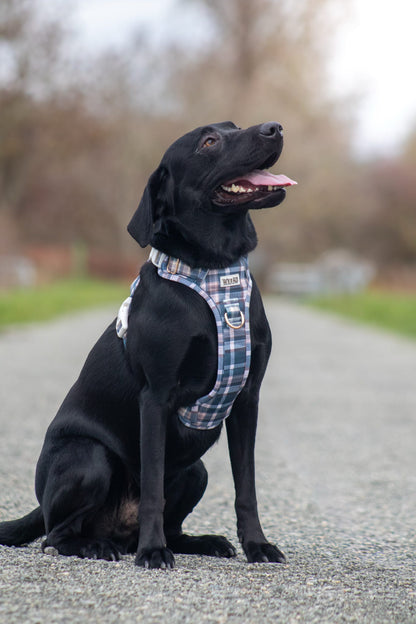 Frosted Flannel - Adventure Addition