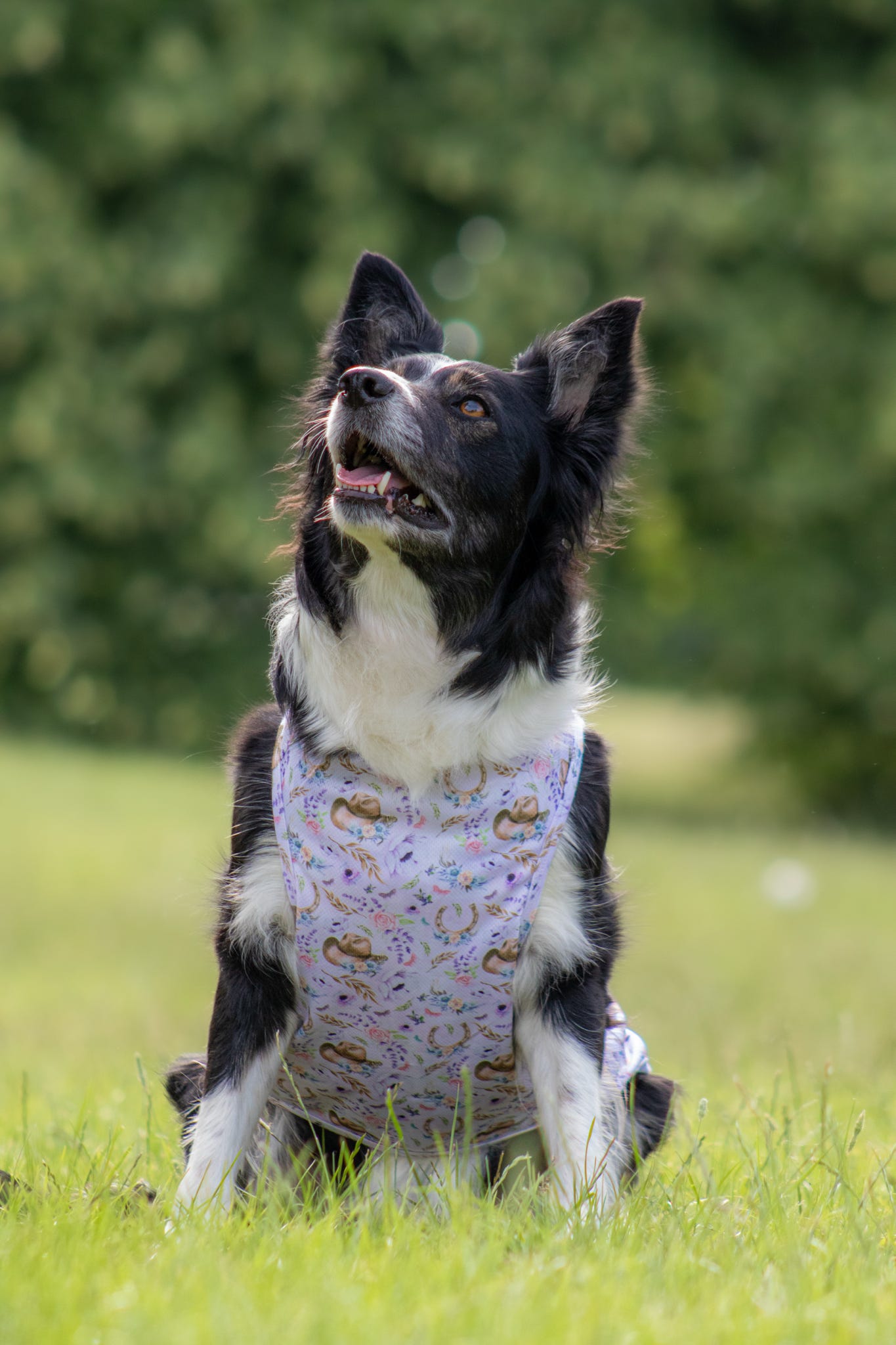 Western Wildflower - Cooling Vest